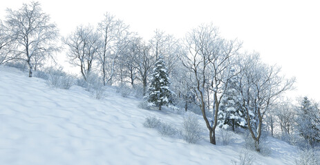 Fototapeta na wymiar Trees and mountains in winter on a white background with clipping paths.
