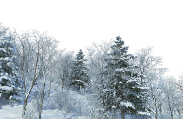 Trees and mountains in winter on a white background with clipping paths.