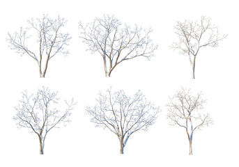 Obraz premium Trees and mountains in winter on a white background with clipping paths.