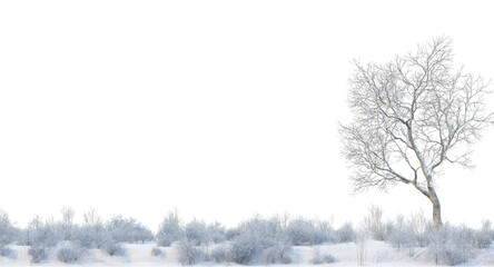 Trees and mountains in winter on a white background with clipping paths.