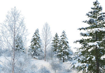 Trees and mountains in winter on a white background with clipping paths.