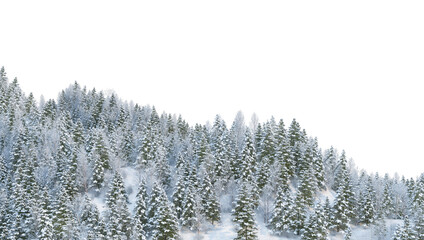 Trees and mountains in winter on a white background with clipping paths.
