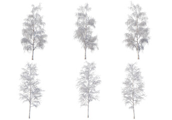Fototapeta premium Trees and mountains in winter on a white background with clipping paths.