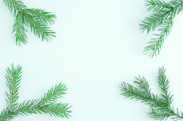 Fototapeta na wymiar Christmas tree branches on white background. Place for text.