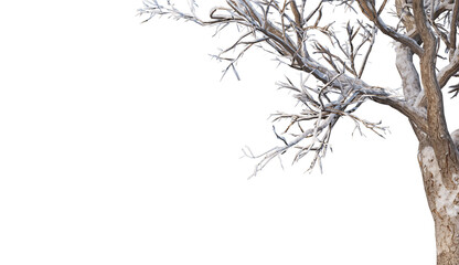 Trees and mountains in winter on a white background with clipping paths.