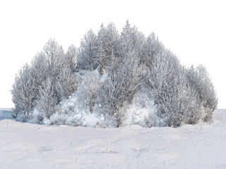 Trees and mountains in winter on a white background with clipping paths.