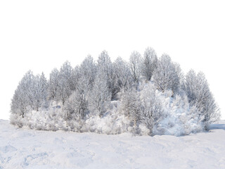 Trees and mountains in winter on a white background with clipping paths.