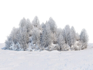 Trees and mountains in winter on a white background with clipping paths.