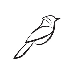 illustration of a bird line art concept.