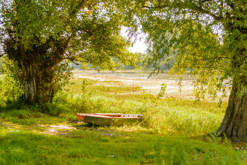 Wooden boats in the shade of the Poplar tree on the shore of the lake.
