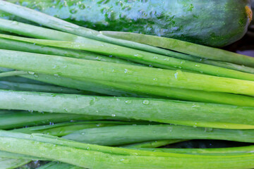 Fresh green onion and cucumber