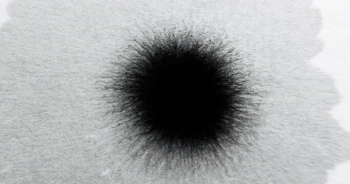 Ink drop. Paint water spatter. Reveal transition overlay. Black liquid blob spreading motion on white grain texture abstract copy space background.