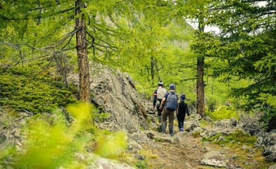 hiking in the woods 