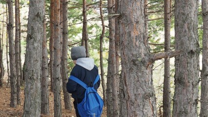 boy with a tourist backpack walks along the lake in autumn. Tourism, camping, hiking. time in nature. child hikers enjoying the view at the top of a mountain in the fall