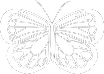 Butterfly coloring page. Coloring book page for adults or kids. Hand-drawn art.