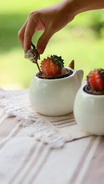 Decorating a pot of variegated Gymnocalycium mihanovichii cactus with a cute cat figurine