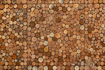 Tree Rings. Small tree rings next to each other. pattern © Tohid Hashemkhani