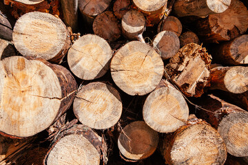 Pile of chopped wood tree, wooden background with lumber elements