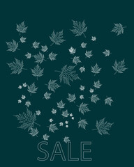 The leaves are drawn in chalk on a blackboard for the sale of a design, a web banner. Make an autumn composition of posters, postcards, stickers, decor, school decor, EPS 10. White line on even.
