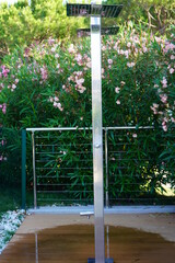 garden, nature, tree, building, old, plant, door, window, wall, house, grass, leaf, architecture, stone, sky, fence, wood, trees, leaves, blue, doorway, outdoor, wooden, ivy, home