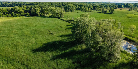 Natural Wisconsin Summertime Meadow with Stream