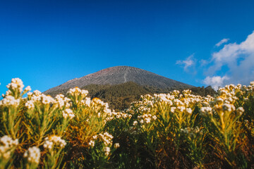 The highest mountain in Java, Mount Semeru.