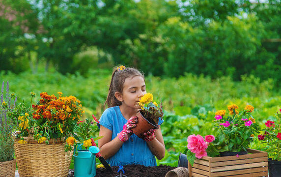 The Child Is Planting Flowers In The Garden. Selective Focus.