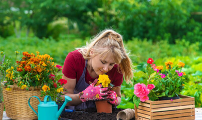 A woman is planting flowers in the garden. Selective focus.