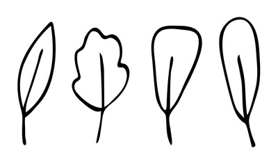 vector leaves set in doodle style.hand-drawn black and white outline illustration.