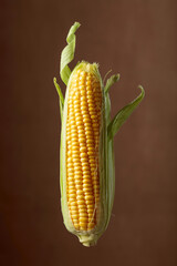 Fresh corn on cob.