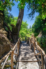 Walking trail in The Valley of Butterflies. The Petaloudes valley nature reserve in Rhodes, Greece, Europe.
