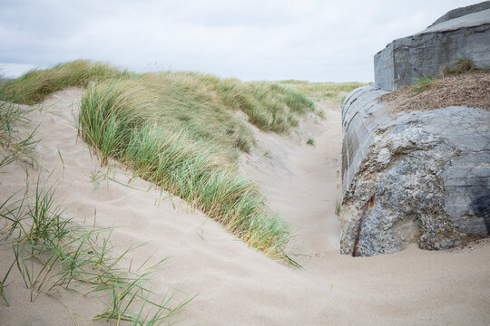 Foreign body in the dunes