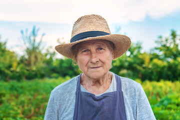 Portrait of a grandmother in the garden. selective focus.