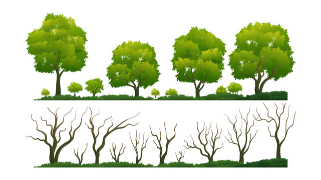 Tree with and without leaves element collection with grass cartoon illustration
