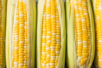 Raw Organic Yellow Sweet Corn on the Cob