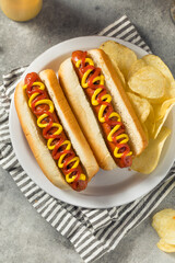 Homemade Hot Dog with Ketchup and Mustard