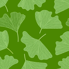 gingko biloba leaves vector seamless pattern background  