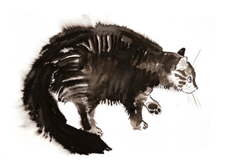 Obraz na płótnie Canvas cute cat illustraion hand paited on a paper