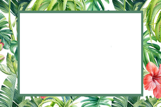 Frame from palm leaves and flowers on isolated white background, watercolor tropical design