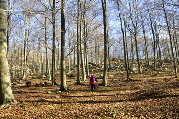 Little girl running autumn forest "Fageda del Montseny" Barcelona