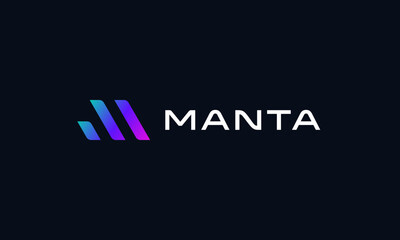 Modern Letter M Logo - Digital Technology Software Design