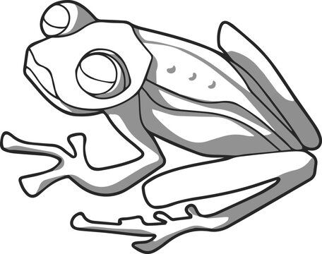 Glass frog in shades of gray vector drawing made by hand in one line for coloring books and for illustrations