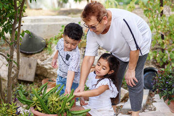 Two Children Help Their Grandmother Care Plants In Backyard. Family In Urban Local Garden.