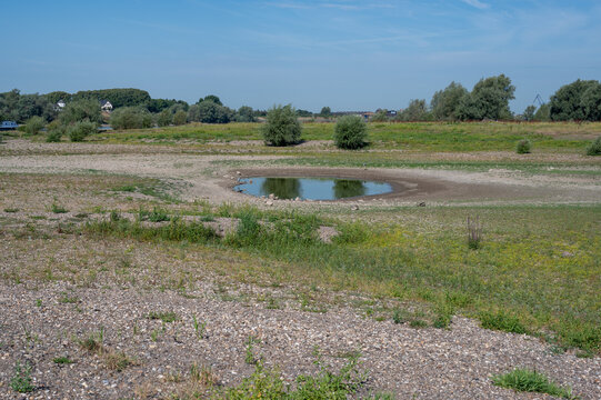 Dürre 2022 am Rhein, Wassermangel
