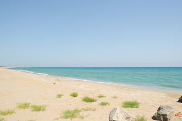 Sandy beach of the sea on a sunny day. High quality photo