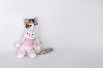 a small Kitten is sitting and hugs a small pink toy kitten. Romantic card for Valentine's Day. Cat close up. Kitty on a white background. Concept of adorable little pets. Home pet. Cozy home Cat. 