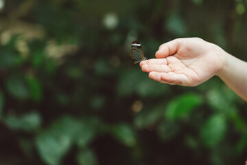 a hand holding a butterfly greta oto