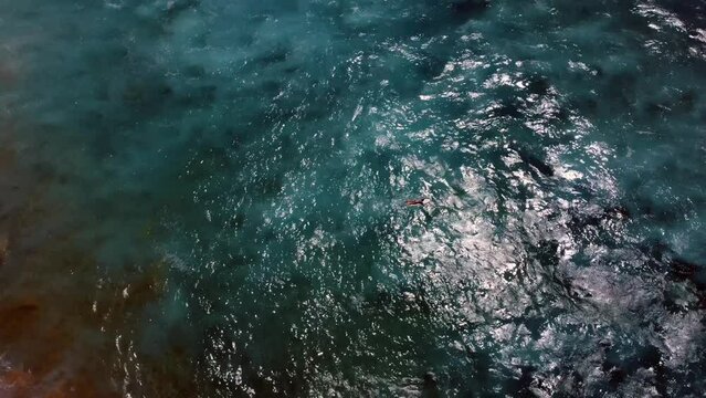 Aerial drone footage of a surfer in the sea near Cotillo beach, Fuerteventura, Spain
