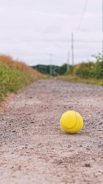 Vertical shot of a yellow tennis ball bouncing on the ground