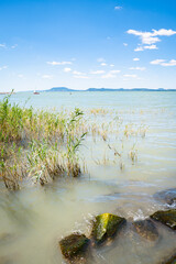 Fototapeta na wymiar Beautiful view of the shore of Lake Balaton, Hungary on a sunny summer day